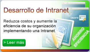 servicio desarrollo de intranet corporativa
