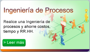 servicio ingenieria procesos empresariales