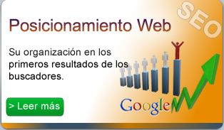 Posicionamiento Web (SEO): Su organización en los primeros resultados de los buscadores.